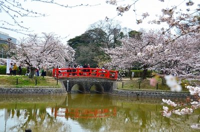 🌸 기죠 공원 이미지 2